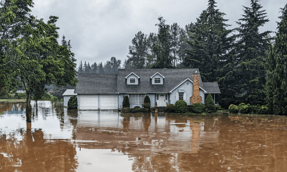 A two-story suburban house is surrounded by floodwaters that reach the bottom of the front windows. The muddy water reflects the trees and overcast sky. Tall evergreen trees and a cloudy sky loom in the background, emphasizing the severity of the flooding.