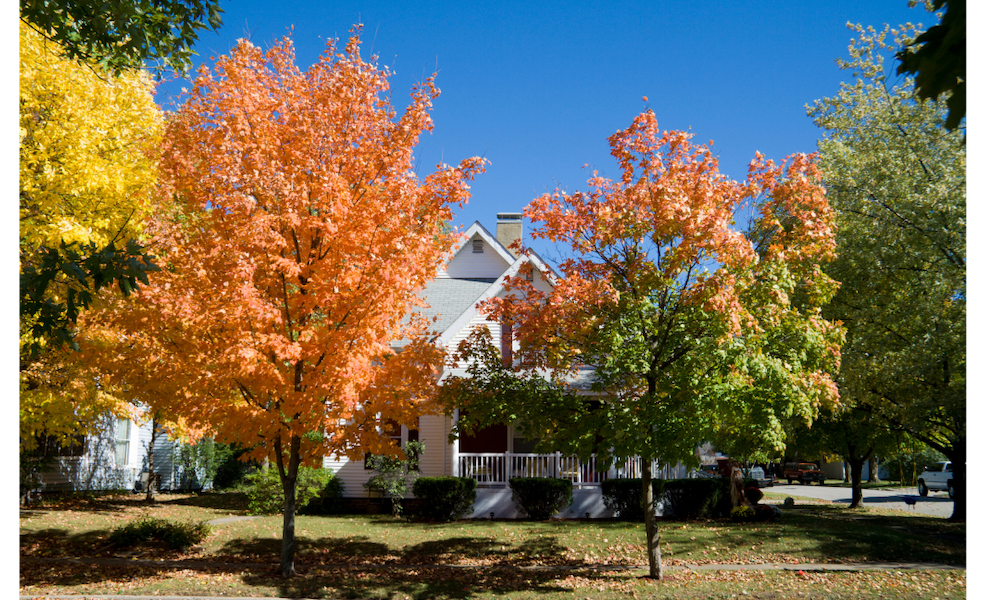 A white house with a front porch surrounded by colorful autumn trees—bright orange, yellow, and green—under a clear blue sky.
